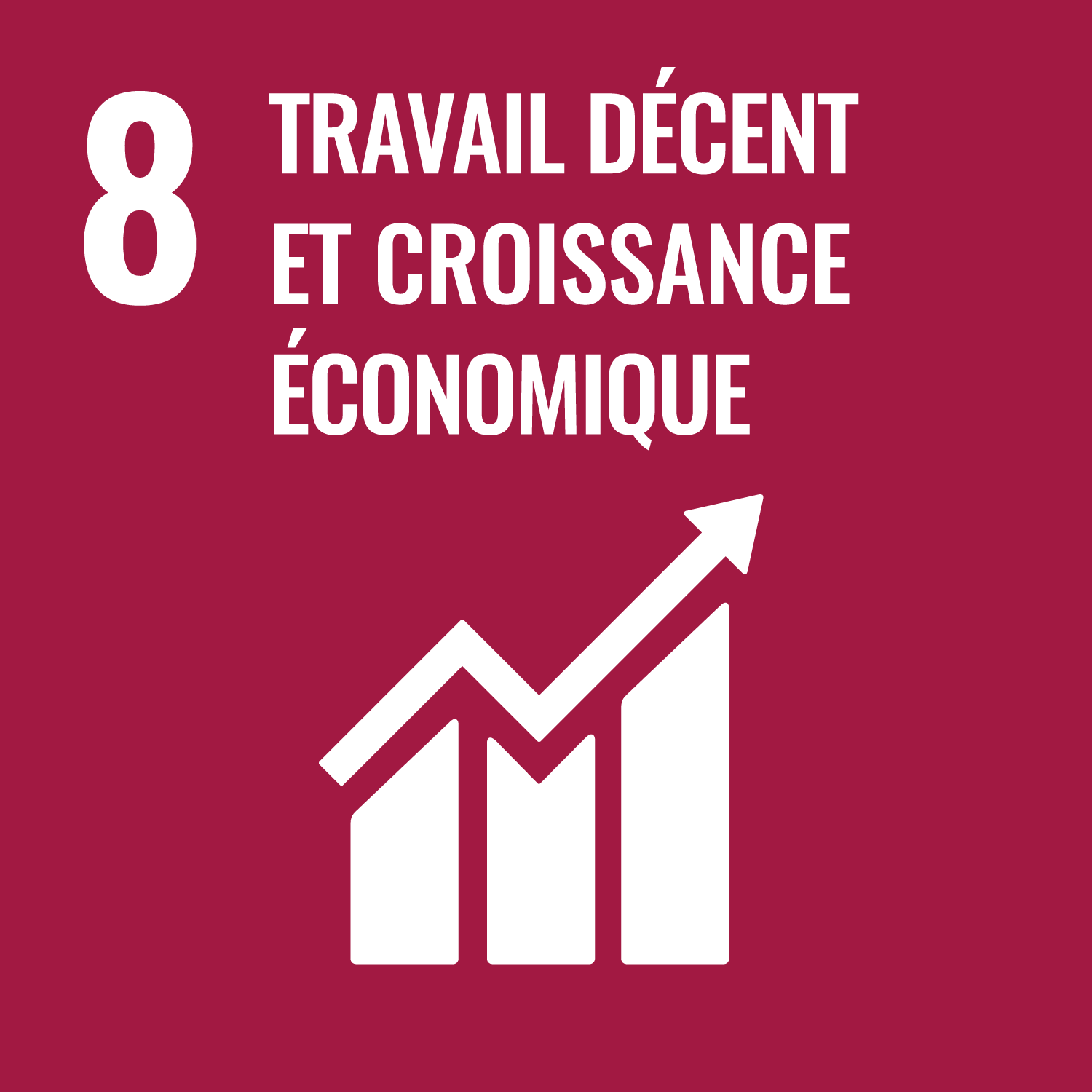 Objectif de développement durable 8 : Travail décent et croissance économique