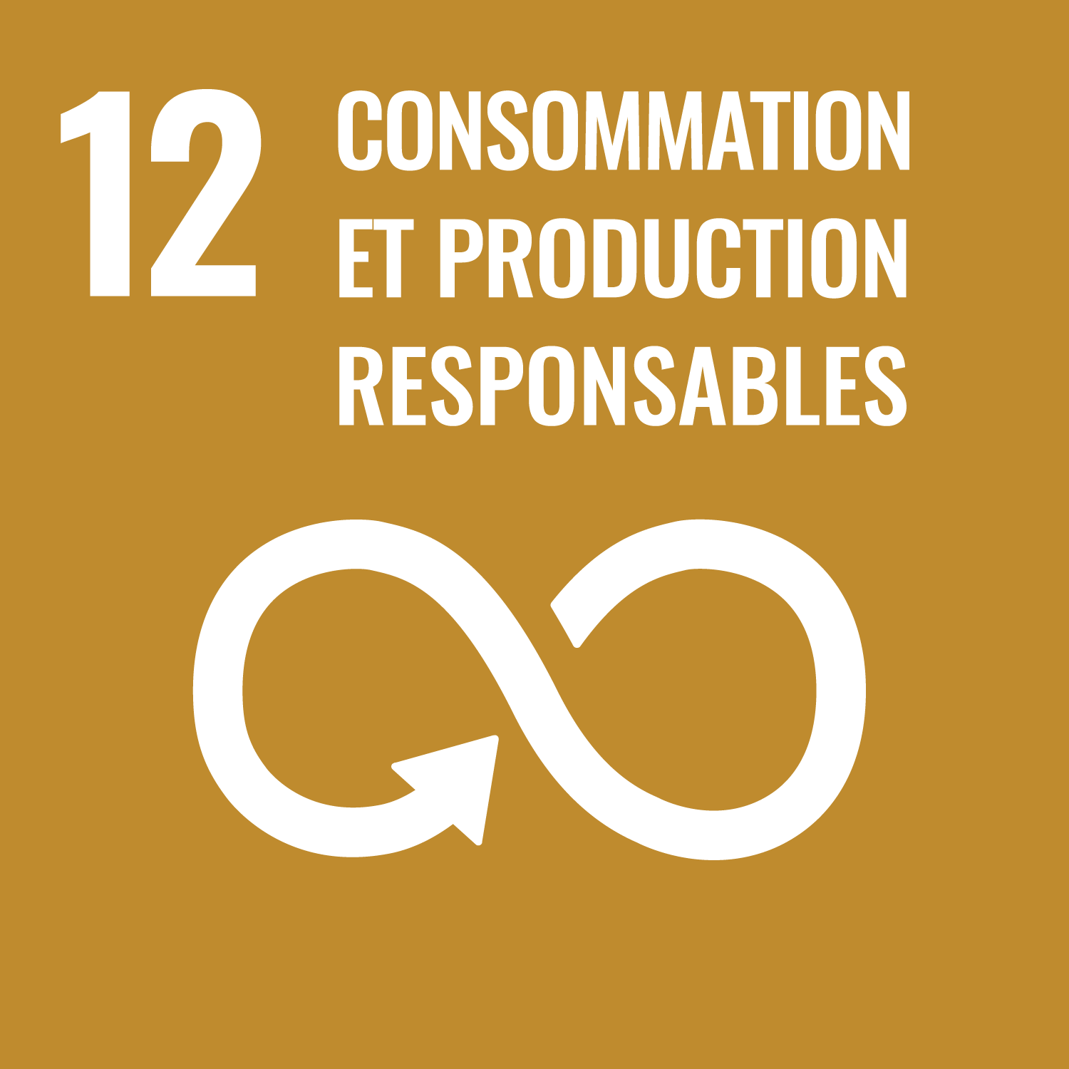 Objectif de développement durable 12 : Consommation et production responsables