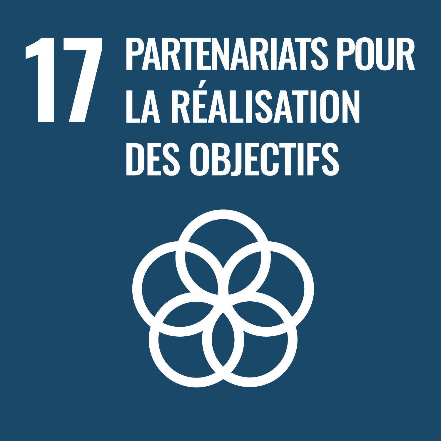 Objectif de développement durable 17 : Partenariats pour la réalisation des objectifs
